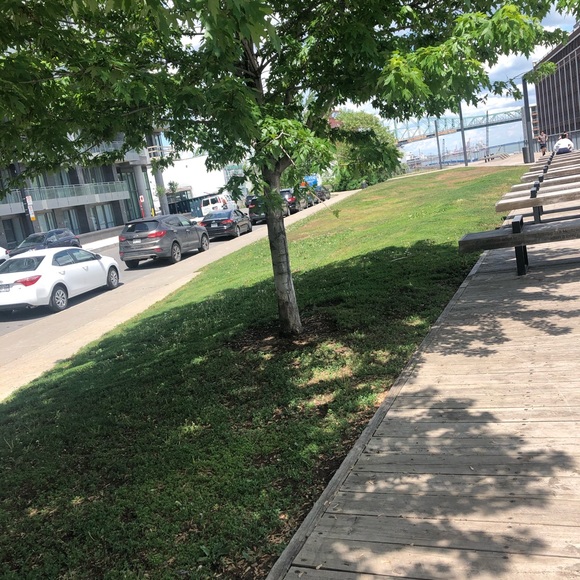 Meet your Posher, Sarmin - Picture 1 of 1